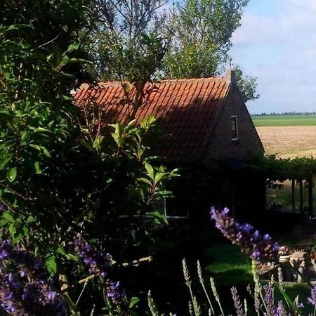 The Cottage - 2 Persoons Cottage Nabij Strand En Meer Zonnemaire ภายนอก รูปภาพ