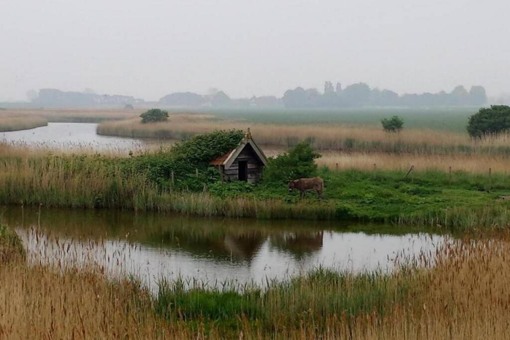 The Cottage - 2 Persoons Cottage Nabij Strand En Meer Zonnemaire ภายนอก รูปภาพ