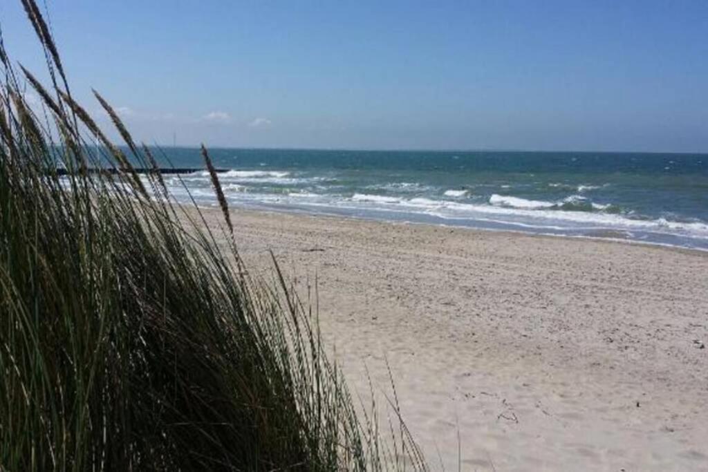 The Cottage - 2 Persoons Cottage Nabij Strand En Meer Zonnemaire ภายนอก รูปภาพ