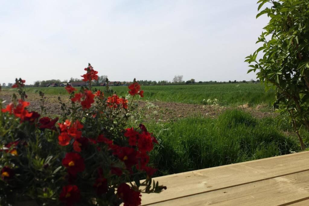 The Cottage - 2 Persoons Cottage Nabij Strand En Meer Zonnemaire ภายนอก รูปภาพ