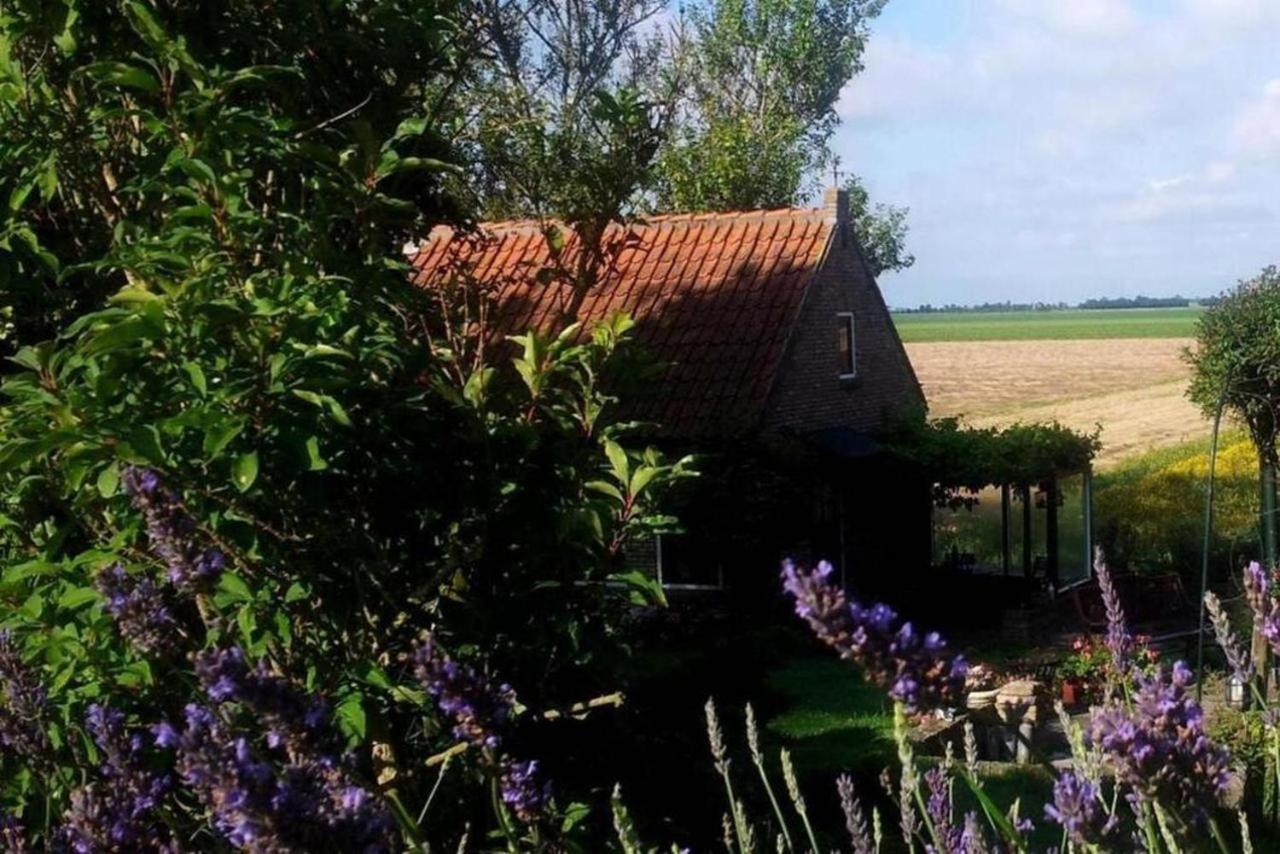The Cottage - 2 Persoons Cottage Nabij Strand En Meer Zonnemaire ภายนอก รูปภาพ