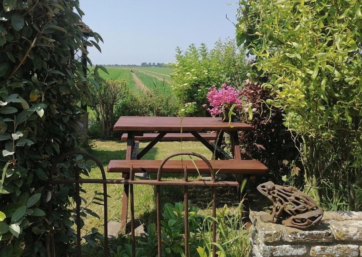 The Cottage - 2 Persoons Cottage Nabij Strand En Meer Zonnemaire ภายนอก รูปภาพ